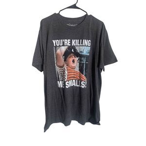 The Sandlot Mens Gray You're Killing Me Smalls T-Shirt Size XXL